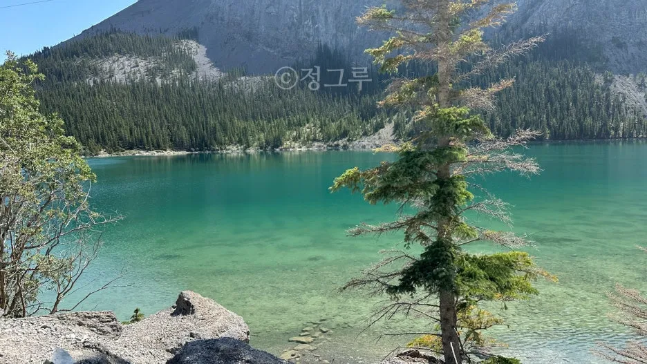 SE-f2794051-152b-4b74-ab3b-cf44b3c2f4fe.jpg?type=w1