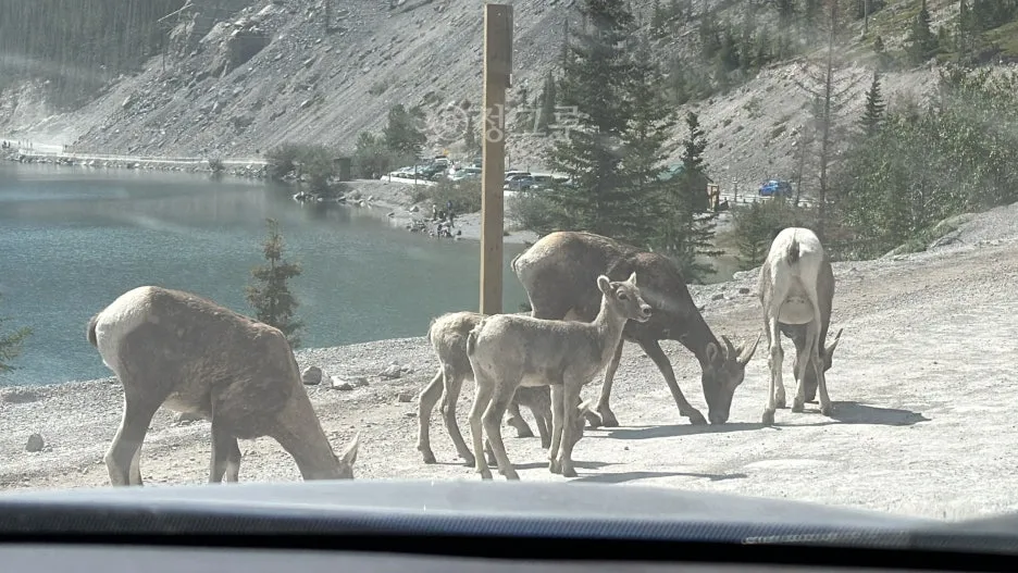 SE-738c5bfa-42df-48ad-9311-39106b6de4b9.jpg?type=w1