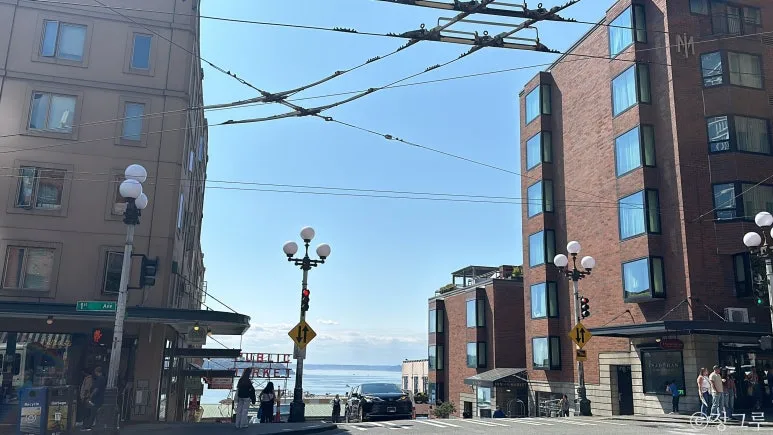 SE-89057985-6cb6-485c-8be4-cd6f8d584a56.jpg?type=w773