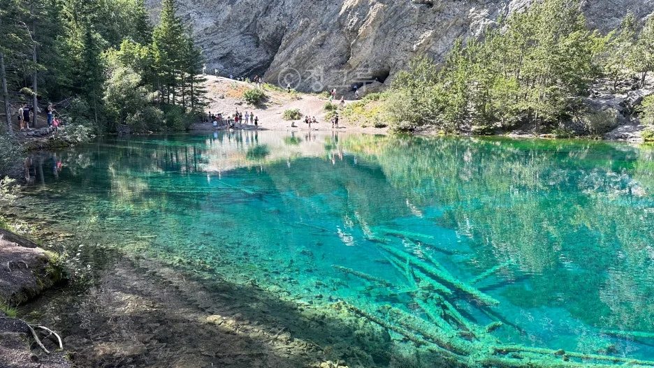 SE-b5f07c66-8087-4b76-aa1a-05dd0651579e.jpg?type=w1