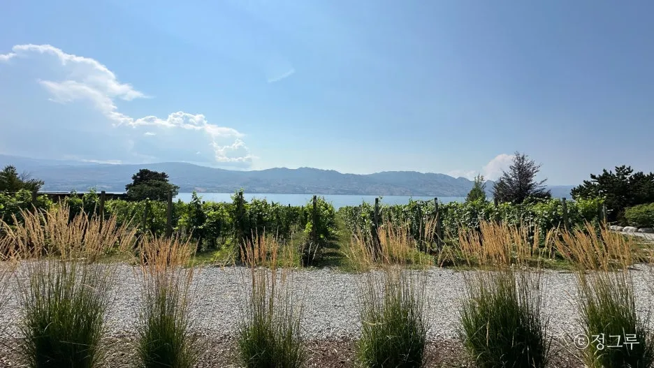 SE-0a1cf5fd-3d9a-4cfb-a72a-b510401dd702.jpg?type=w1