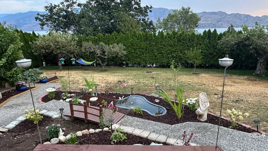 SE-eb58b845-1012-466b-96e5-567a9df938a9.jpg?type=w1