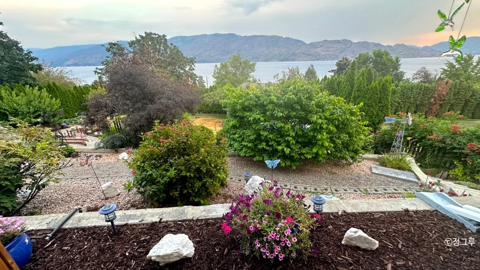 SE-2d47b98c-ecec-4b9e-8069-0697ef32b46d.jpg?type=w1