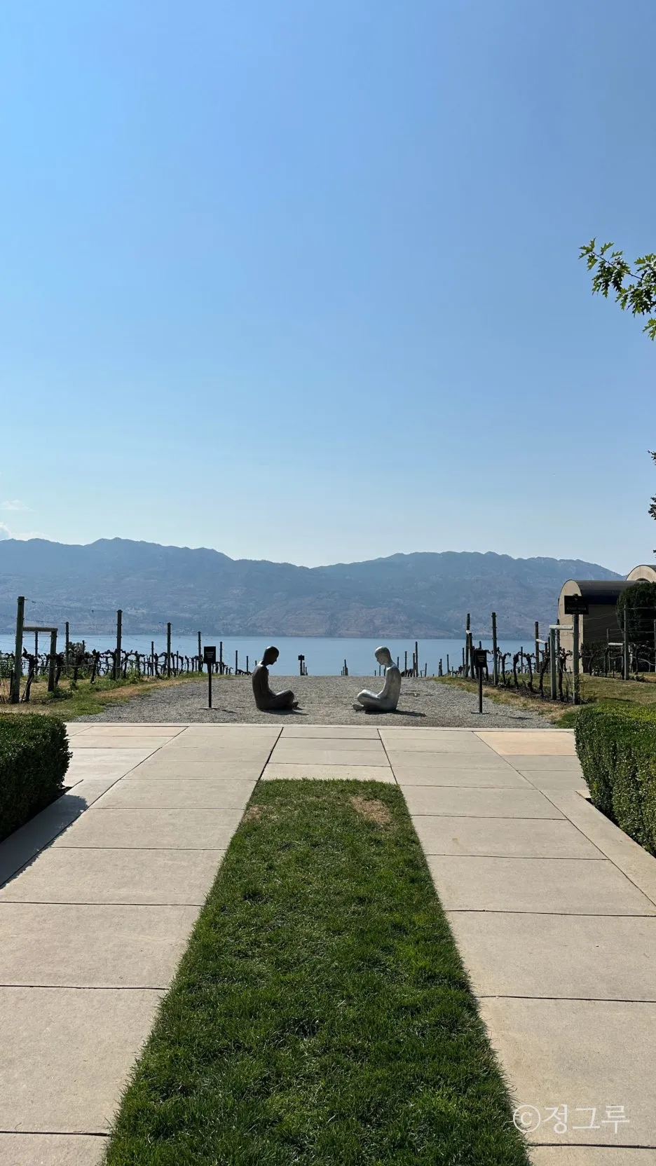 SE-b3841237-836f-4e65-95d8-86a958643129.jpg?type=w1