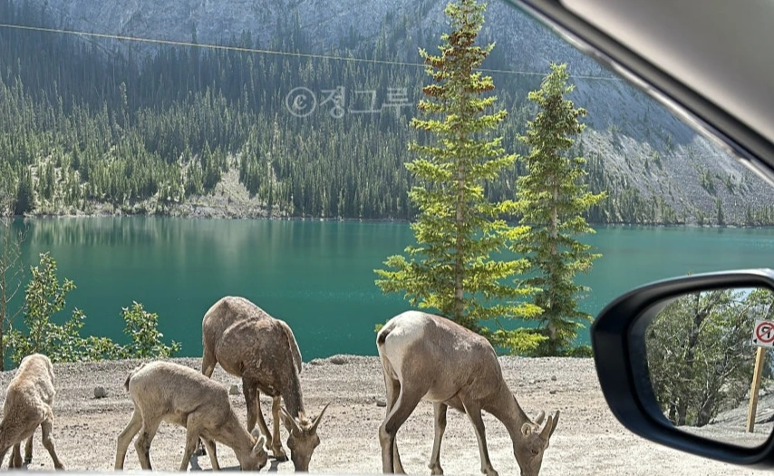 SE-8ae00ae2-dfed-46d6-a640-955c95e932a4.jpg?type=w1