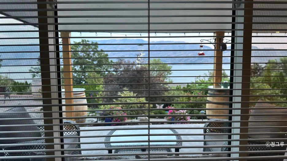 SE-e877aa0f-ec23-4716-a5e7-73cb2e224c2e.jpg?type=w1