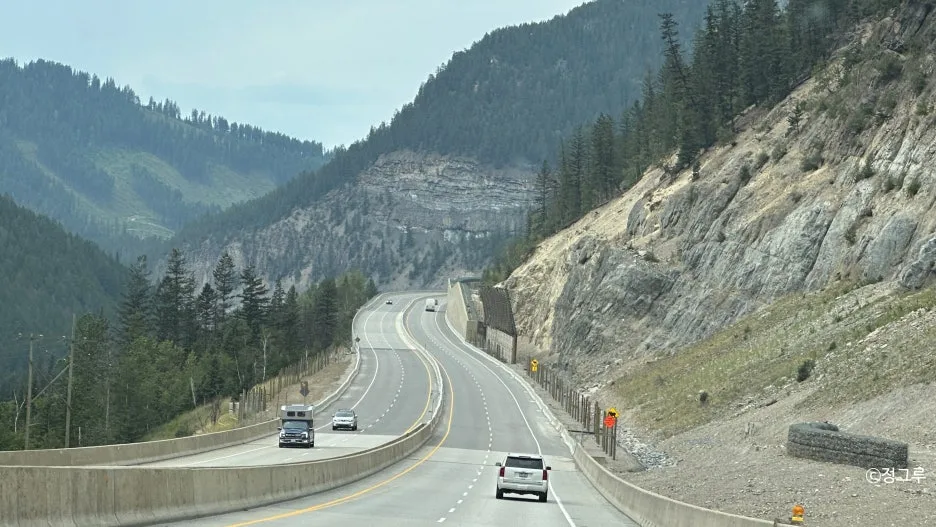 SE-c282bede-cd3b-4dbf-a304-deb8a97658de.jpg?type=w1