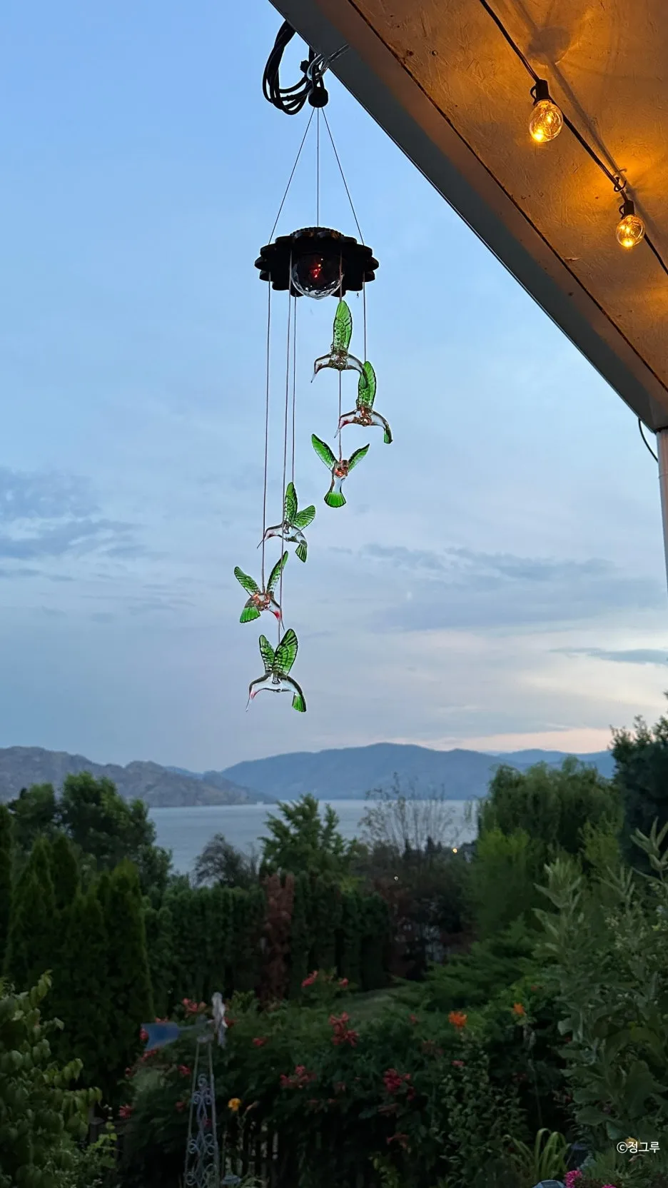 SE-55d192ed-6b95-49f5-b2f7-6a179f6e13d0.jpg?type=w1