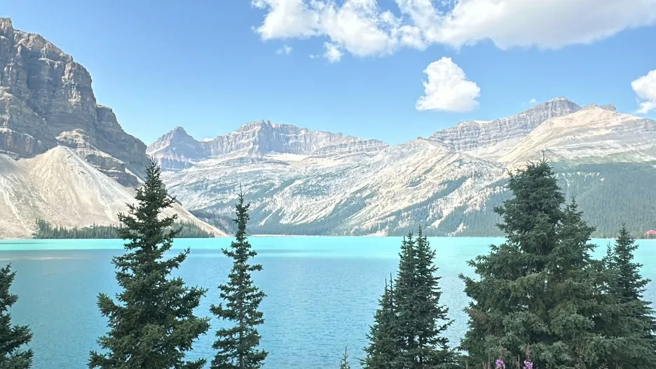 IMG_1315_2.JPG?type=w1