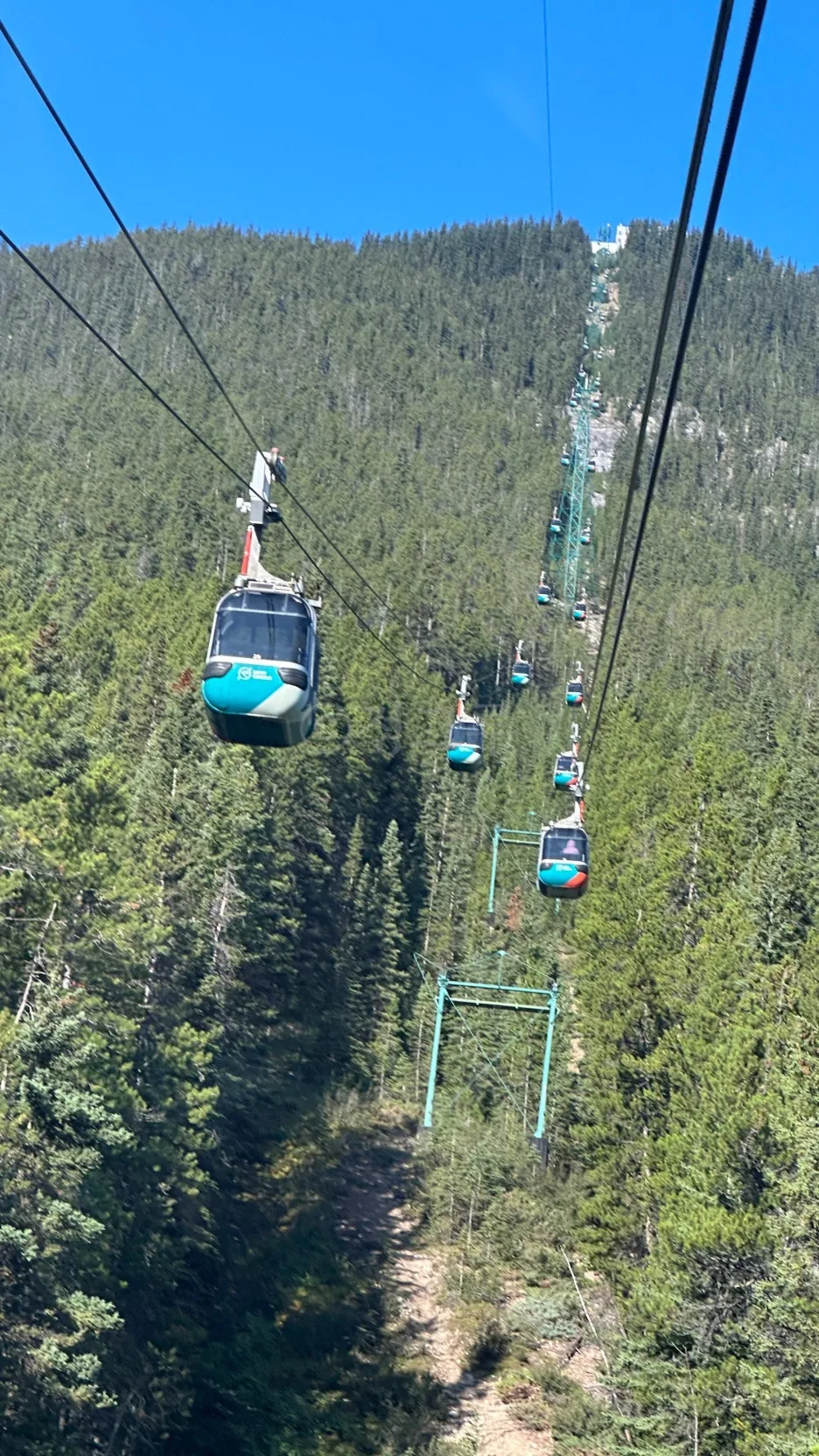 SE-43b9fce3-ae76-42d4-947c-ab668465b09d.jpg?type=w1