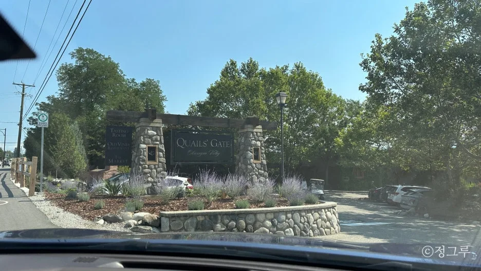 SE-0da130eb-717f-49cc-b3d8-00071c2e814f.jpg?type=w1