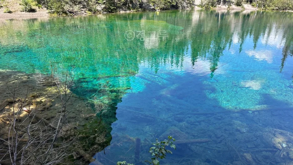 SE-ae97fa7e-5ed0-4f6b-aa6a-6b7e8ceeccf4.jpg?type=w1