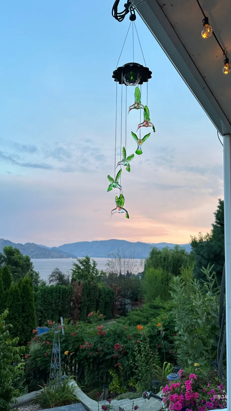 SE-a32e3521-08a6-4ff3-84cf-051b1a153ad6.jpg?type=w1