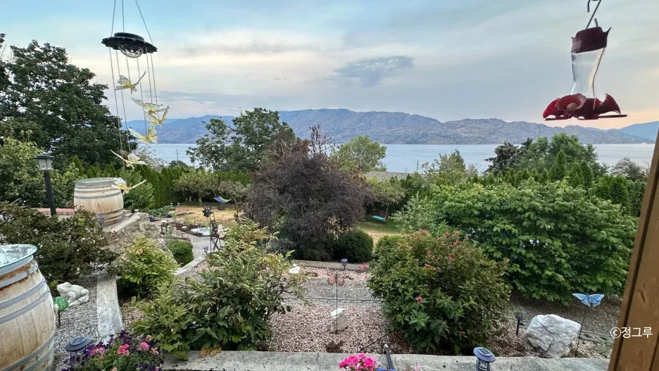 SE-c4debb9e-cbf9-435d-acee-1f8d9d920d20.jpg?type=w1