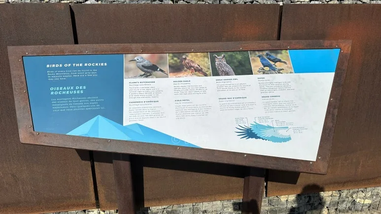 SE-a5b990d0-3395-4fb0-a62f-7404ccda96c5.jpg?type=w773