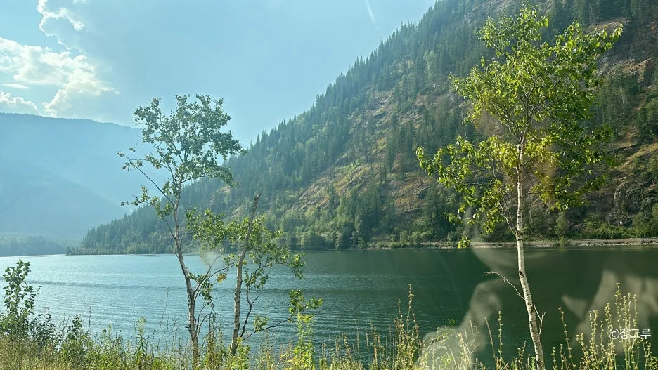 SE-ef4047fd-4547-49d9-8099-ec4e876e064d.jpg?type=w1