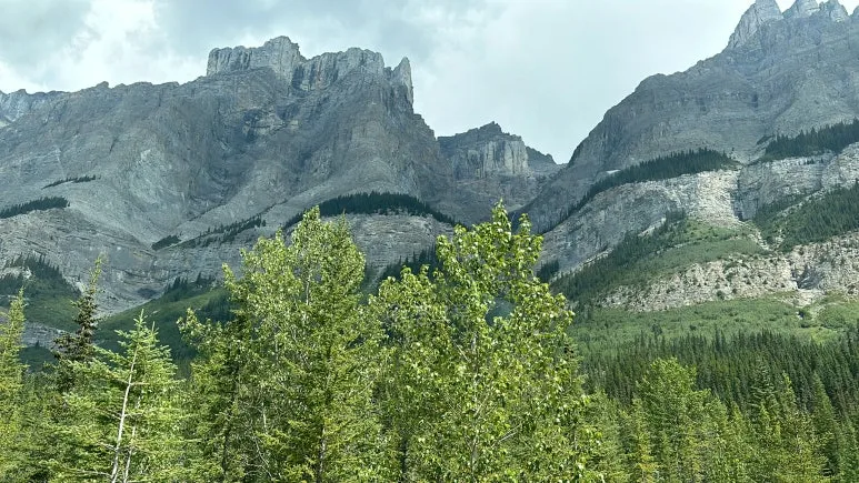 SE-88f4337d-0258-4fab-a890-554adc381ea2.jpg?type=w773