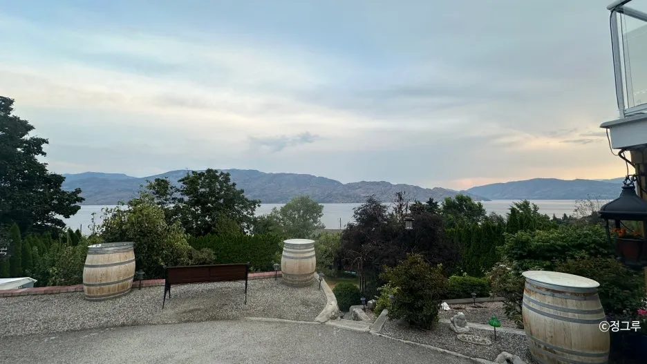 SE-3adf2f28-0df9-46a2-ab05-20b3cef575b3.jpg?type=w1