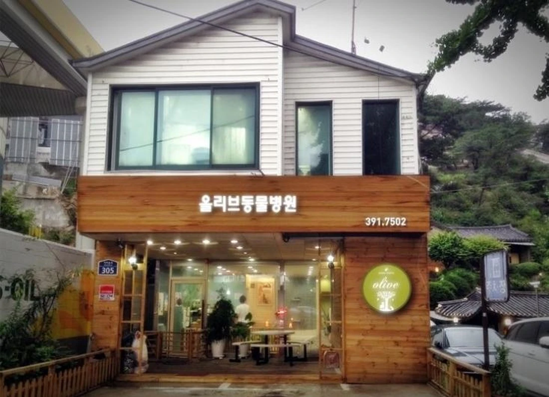 수의사 되는법 (1).jpeg