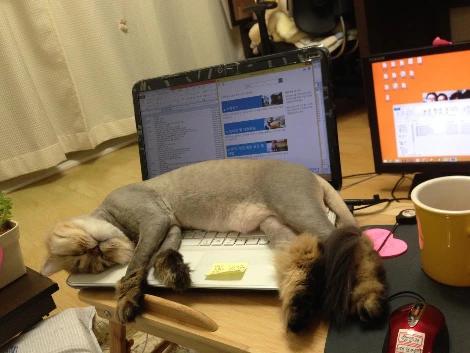 20140525 솜털 (3).JPG