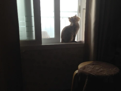 나뷔 자세 (2).JPG