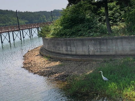 거실로 퇴근2.JPG