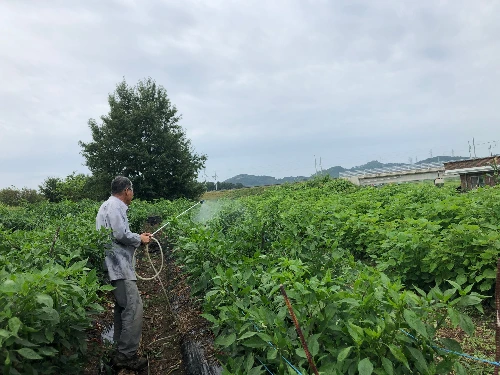 사이보그 밭농사 (1).JPG