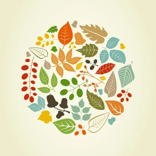 다운로드 (3).jfif