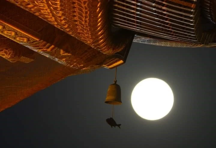 다운로드 (1).jfif