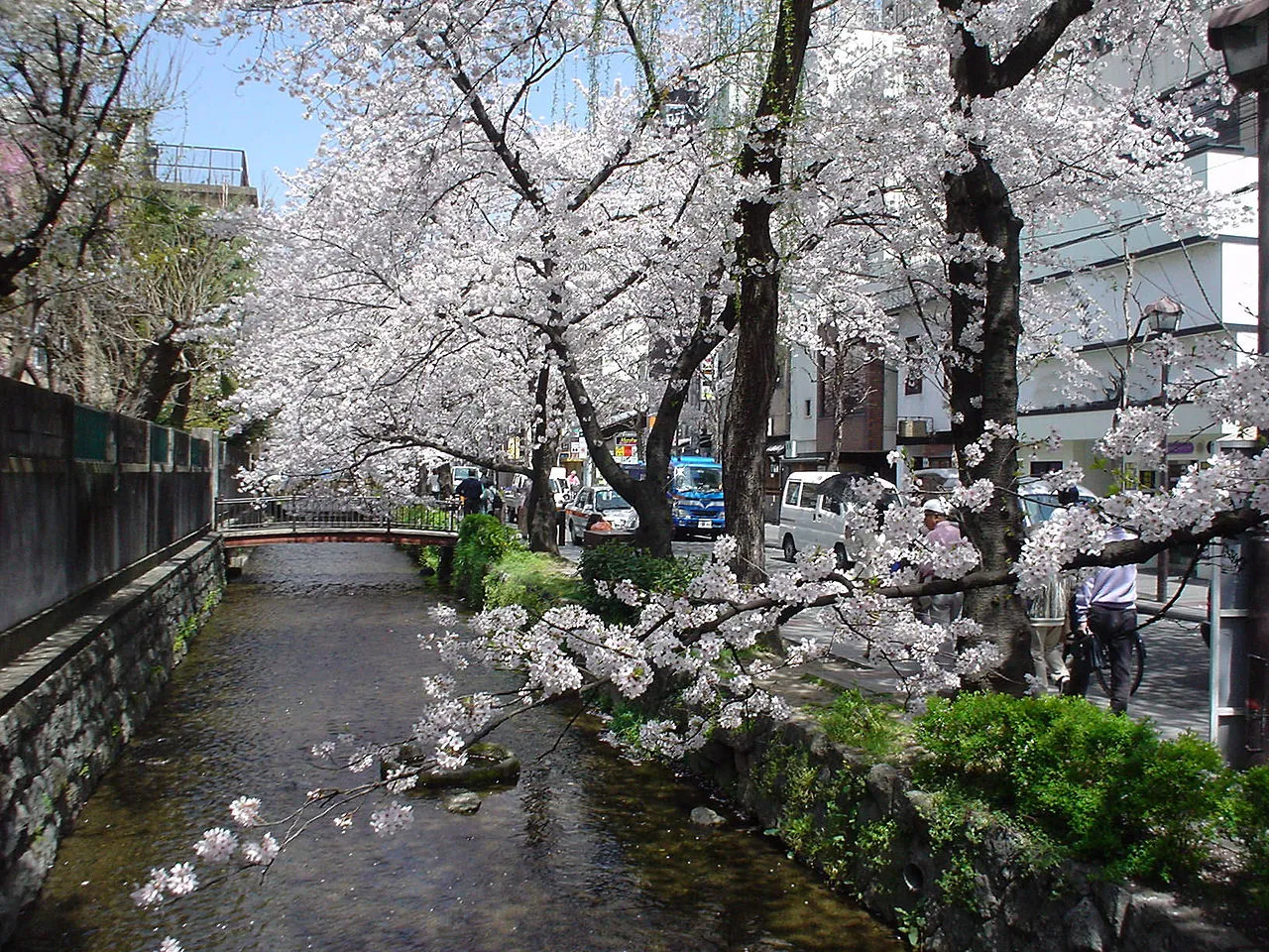 1280px-TakasegawaToSakura.JPG