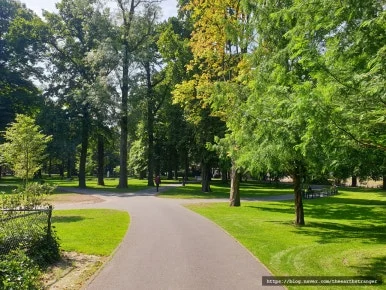 SE-2eed2c5d-3bdd-4d90-8e85-d812be1b25e7.jpg?type=w386