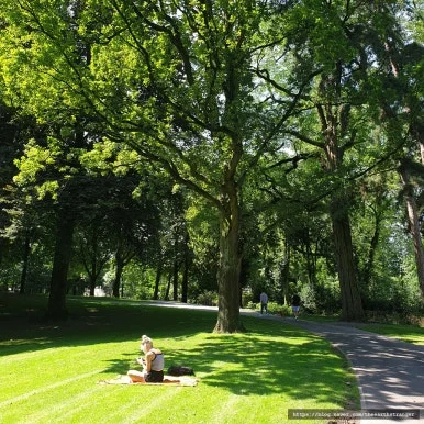 SE-8c1521c5-baf2-4aea-ba26-784510304f28.jpg?type=w386