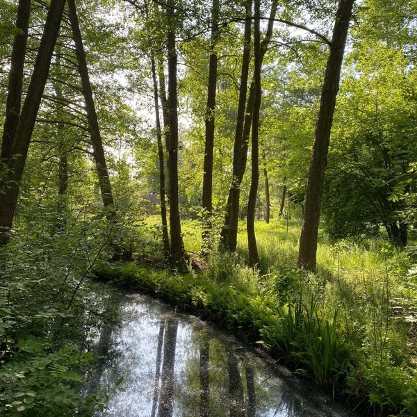 SE-a02fbff4-10db-11ee-b9c0-7f1ed887222b.jpg?type=w773