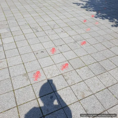 SE-17945f9a-c083-4961-b99f-0159b0e6f206.jpg?type=w386