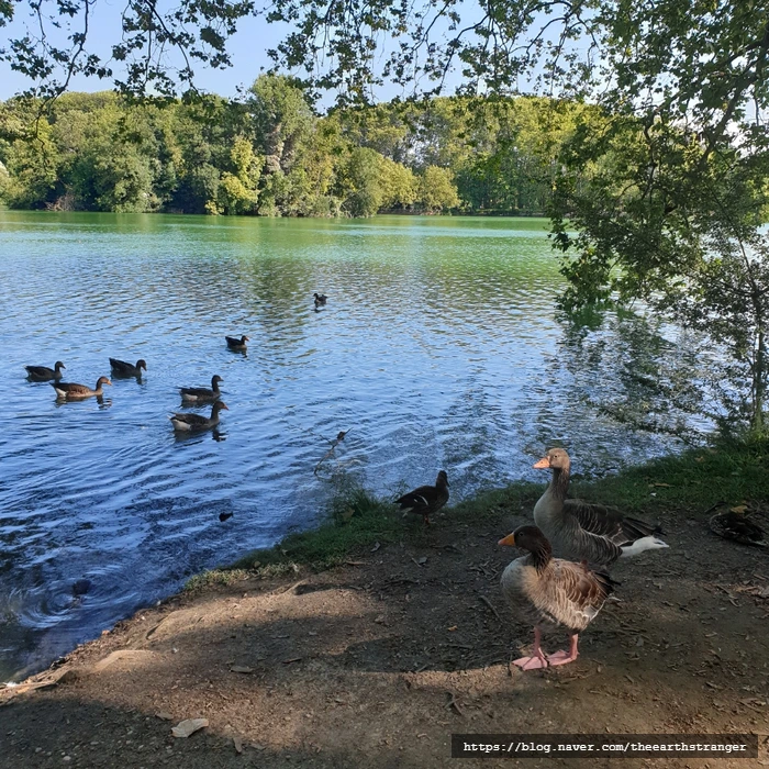 SE-731a47cd-3179-11ee-9e6b-195989a17685.jpg?type=w773