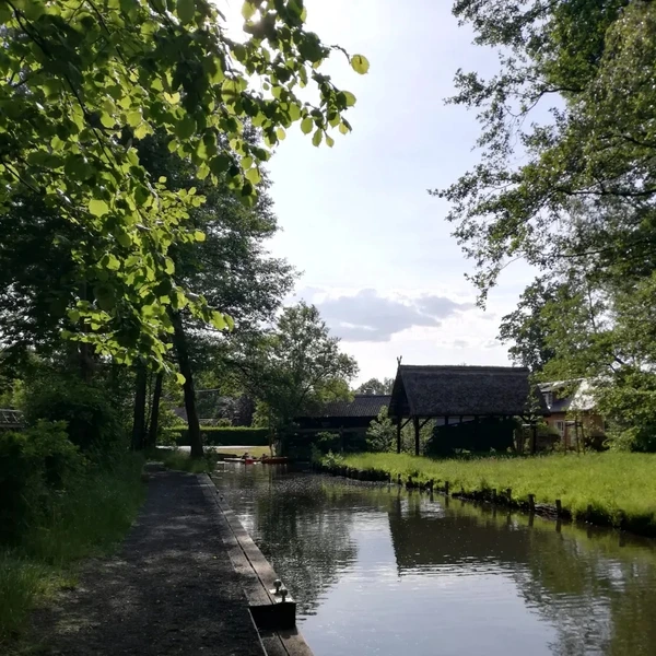 SE-a035da81-10db-11ee-b9c0-e3e82bc32012.jpg?type=w773