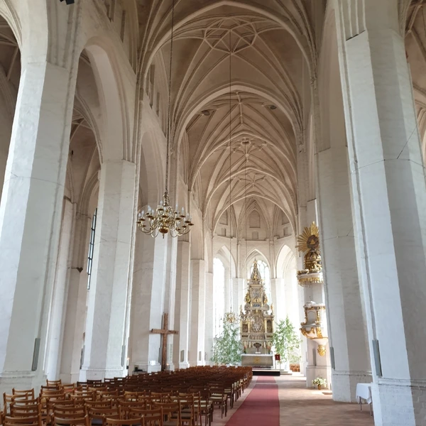 SE-03a5297b-06ca-11ee-949f-b773250d161a.jpg?type=w773