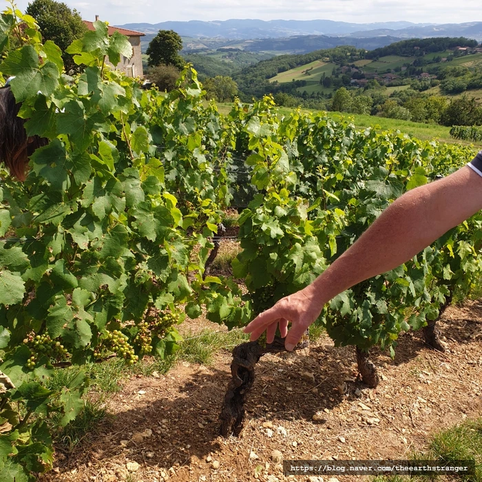 SE-cab9d6bd-3177-11ee-9e6b-bd60e24de6fc.jpg?type=w773