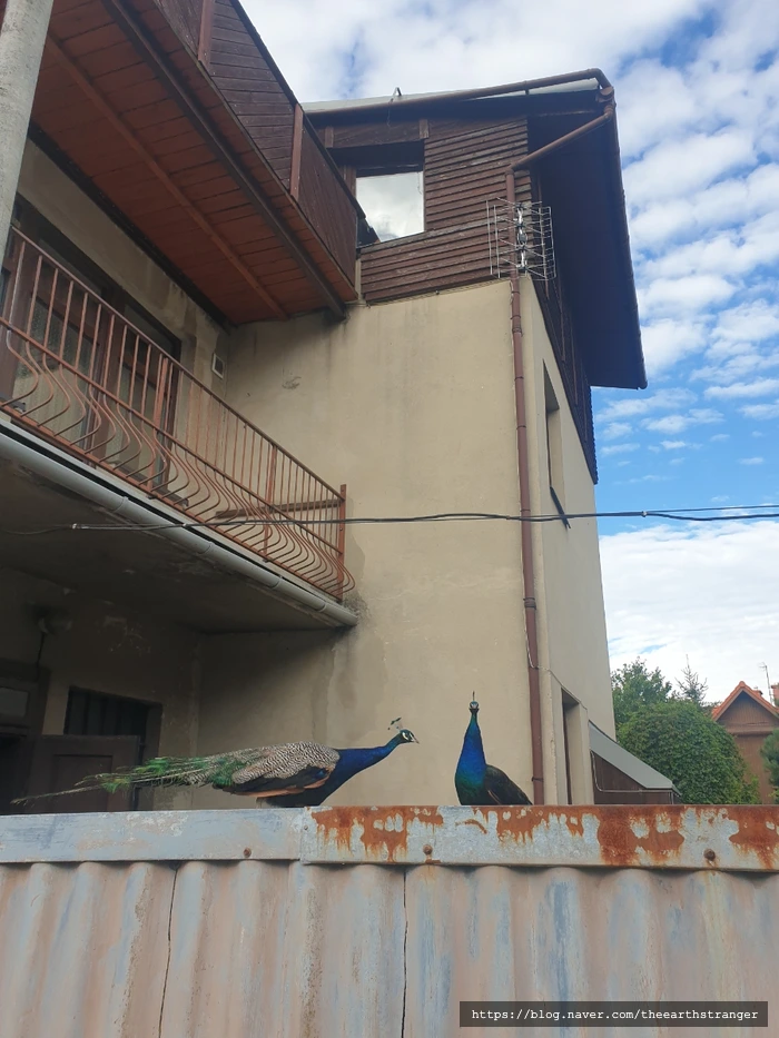 SE-ca572f83-a4a9-4bba-87e9-a1f444ba947f.jpg?type=w773