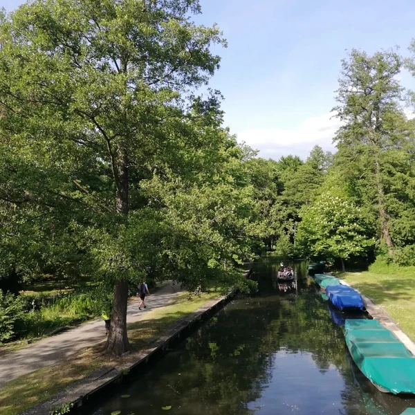 SE-a0358c60-10db-11ee-b9c0-b9c37a36bff1.jpg?type=w773