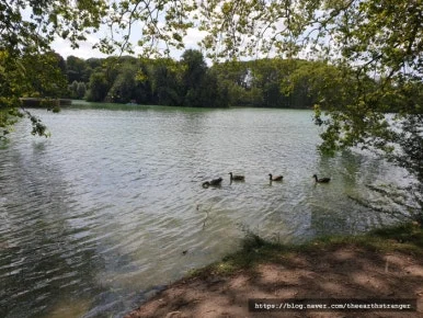 SE-caad2c7b-3177-11ee-9e6b-e132b0b87ce7.jpg?type=w386