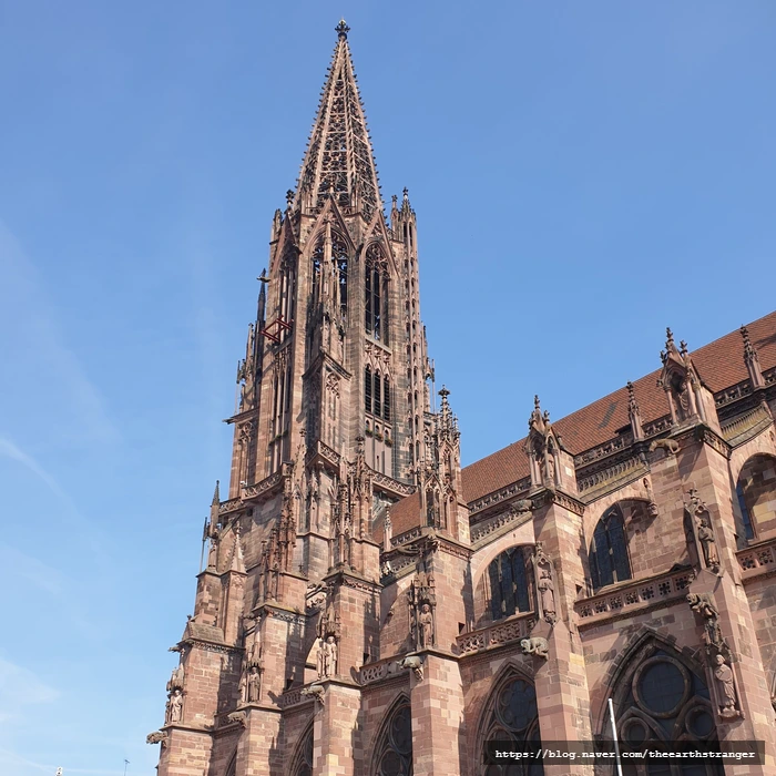 SE-ef07c94a-6aa9-41dd-9ca8-fe6993734153.jpg?type=w773