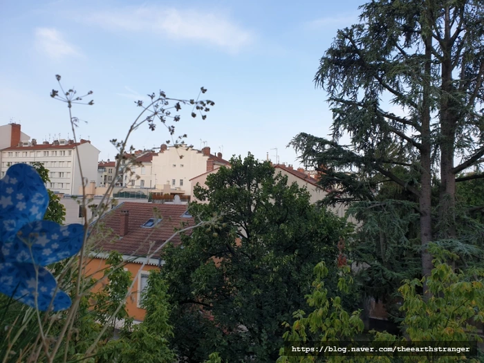 SE-70e79e79-317b-11ee-9e6b-7b6ac25d008d.jpg?type=w773