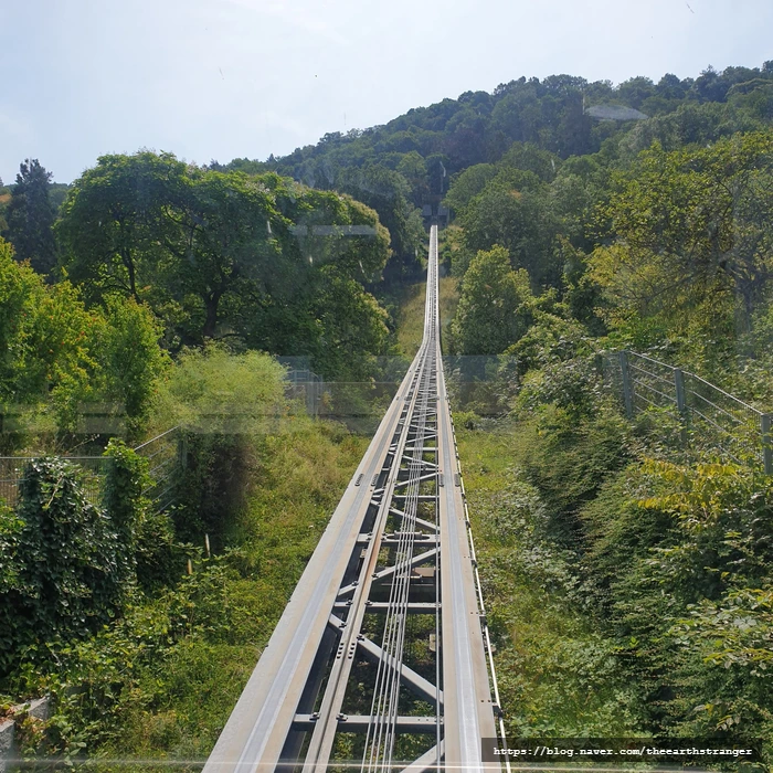 SE-22c52503-0439-4866-ac51-ba6c6db7561a.jpg?type=w773