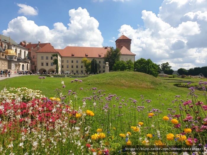 SE-69ccd950-db85-4969-9276-8bced950ee9c.jpg?type=w773