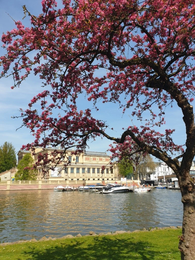 20230510%EF%BC%BF123955.jpg?type=w773