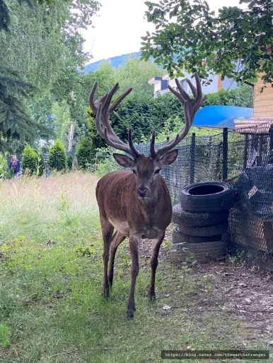 SE-c62d5945-bd43-4ae9-9de3-6dfa5257cdd7.jpg?type=w386