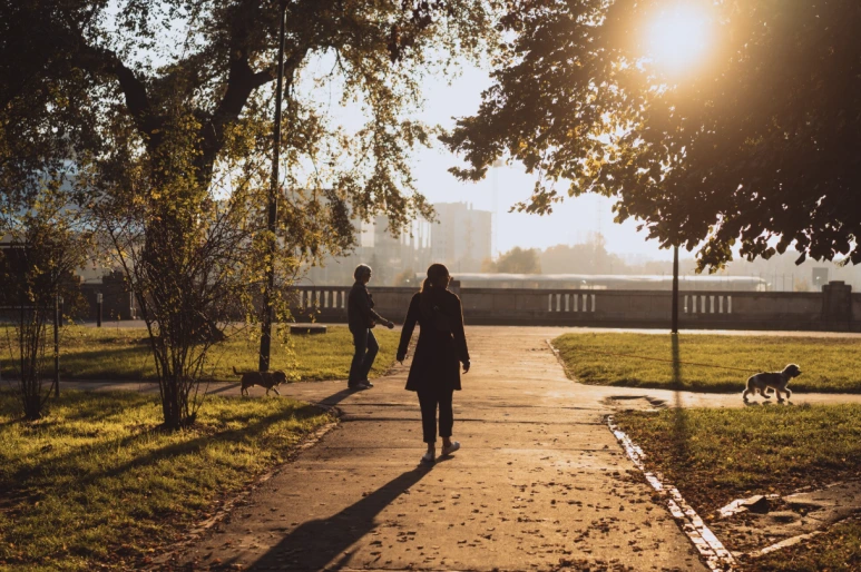 %EC%8A%A4%ED%81%AC%EB%A6%B0%EC%83%B7_2025-07-31_13.19.08.png?type=w773