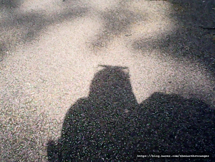 SE-f35287cf-1055-47a5-985b-b54633c71dce.jpg?type=w773