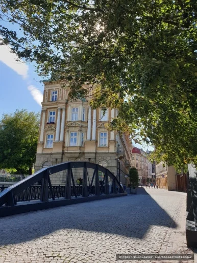 SE-0e0065b3-d117-464a-9e83-a14a088b8625.jpg?type=w386